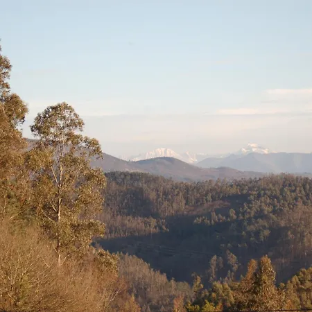 La Casa De La Abuela Milagros