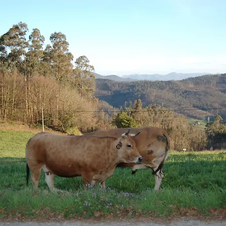 Летний дом La Casa De La Abuela Milagros Правия