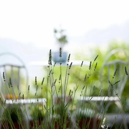 La Casa De La Abuela Milagros Летний дом