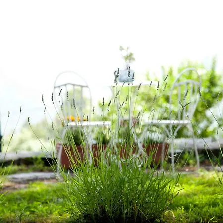 La Casa De La Abuela Milagros *